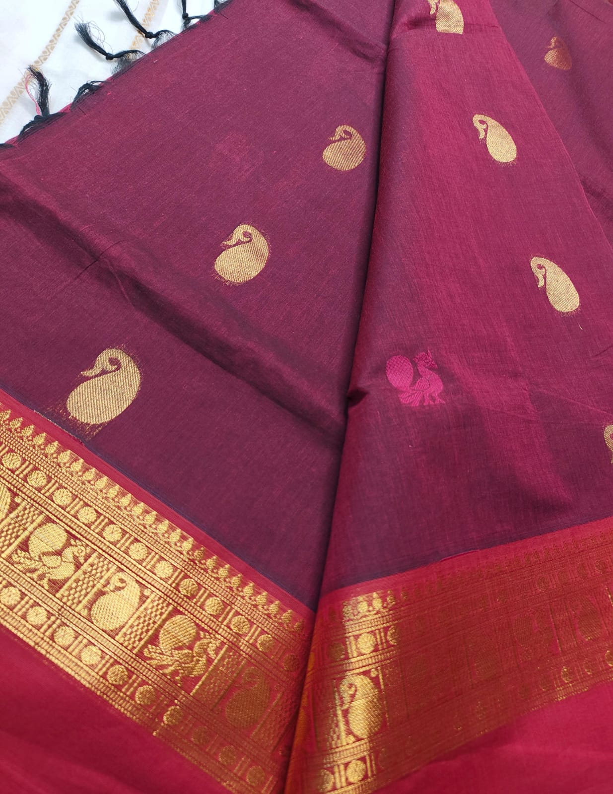 ASK008 Premium Kanchi Cotton Sarees